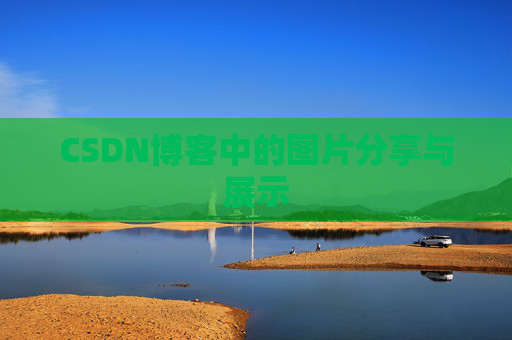 CSDN博客中的图片分享与展示